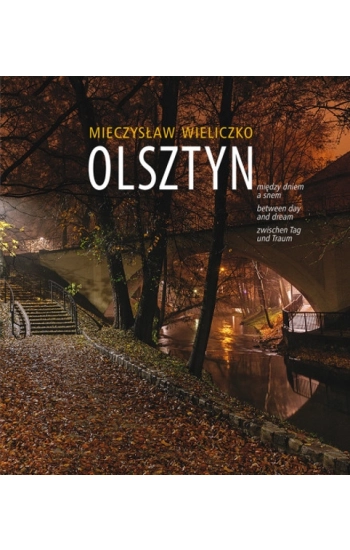 Olsztyn, między dniem a snem - Mieczysław Wieliczko