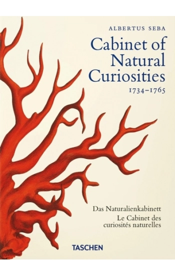 Seba. Cabinet of Natural Curiosities. 40th Ed. - Irmgard Müsch
