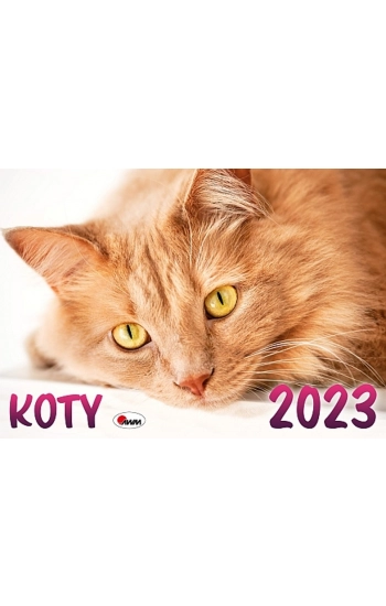 Kalendarz 2023 Koty KA2 - praca zbiorowa