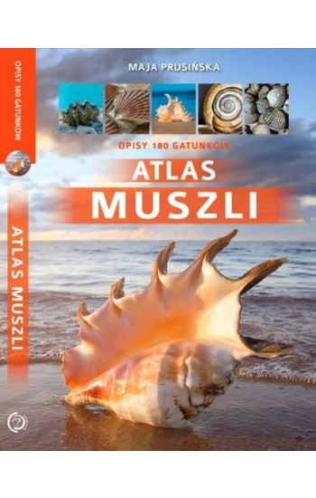 Atlas muszli - Maja Prusińska