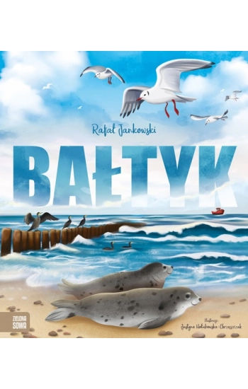 Bałtyk - Rafał Jankowski