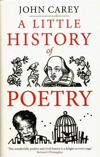 A Little History of Poetry - Carey John