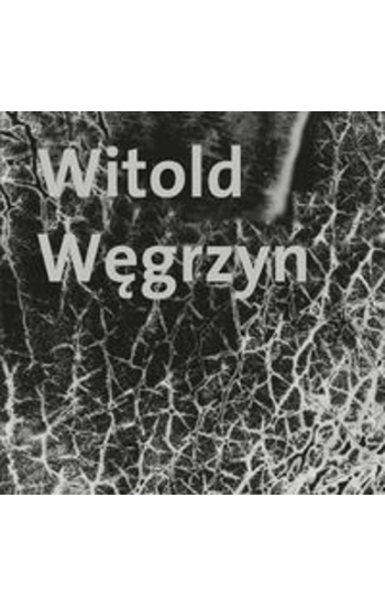 Witold Węgrzyn Nieuchwytna materialność - Witold Węgrzyn