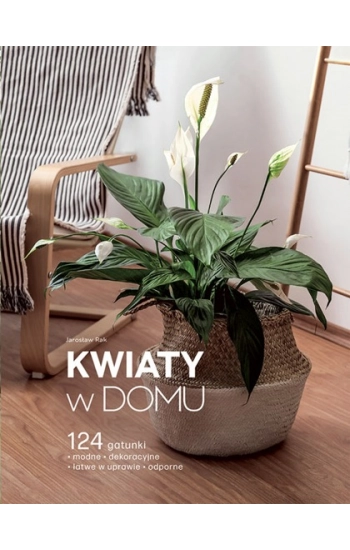 Kwiaty w domu - Rak Jarosław
