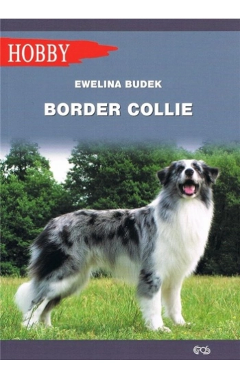 Border Collie w.2020 - Ewelina Budek