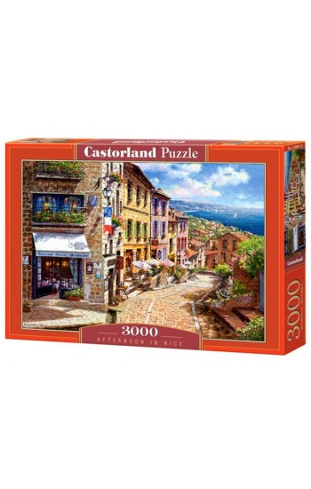 Puzzle Afternoon in Nice 3000
