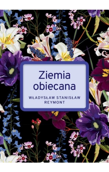 Ziemia Obiecana wyd. specjalne - Stanisław Władysław